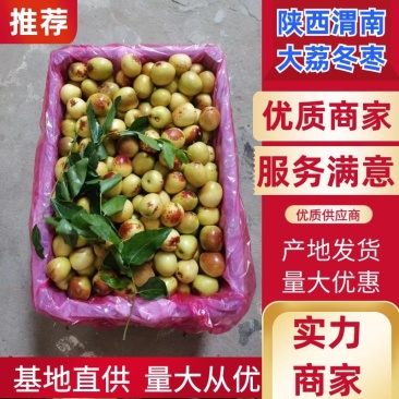 陕西大荔冬枣产地直供一手货源品质保障视频看货选货