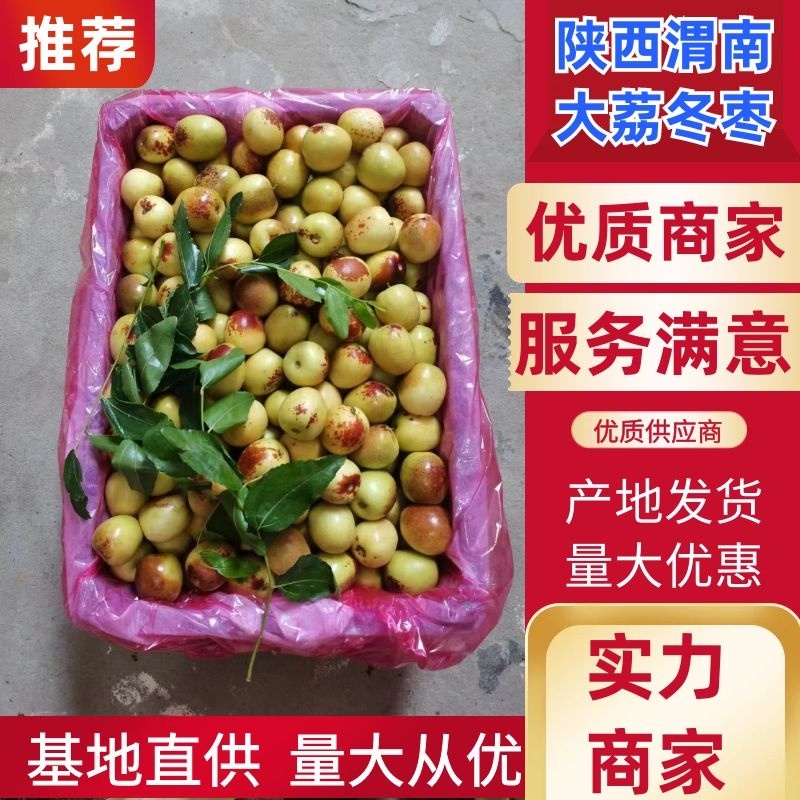 陕西大荔冬枣产地直供一手货源品质保障视频看货选货