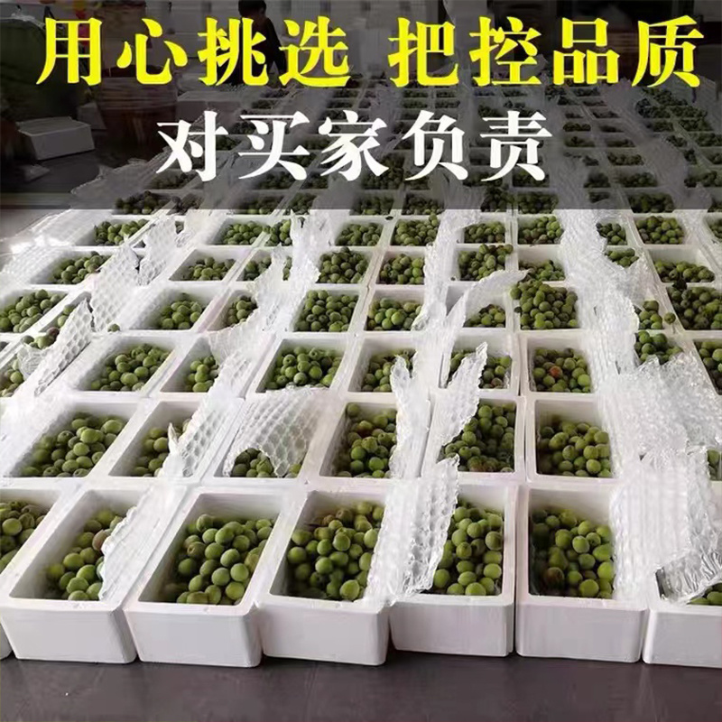 青梅主产区广东饶平新圩镇青梅之乡，青竹梅，小白梅，胭脂梅