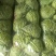 精品甘蓝圆包菜规格齐全质量保证价格实惠欢迎咨询