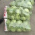 精品甘蓝圆包菜规格齐全质量保证价格实惠欢迎咨询