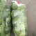 精品甘蓝圆包菜规格齐全质量保证价格实惠欢迎咨询