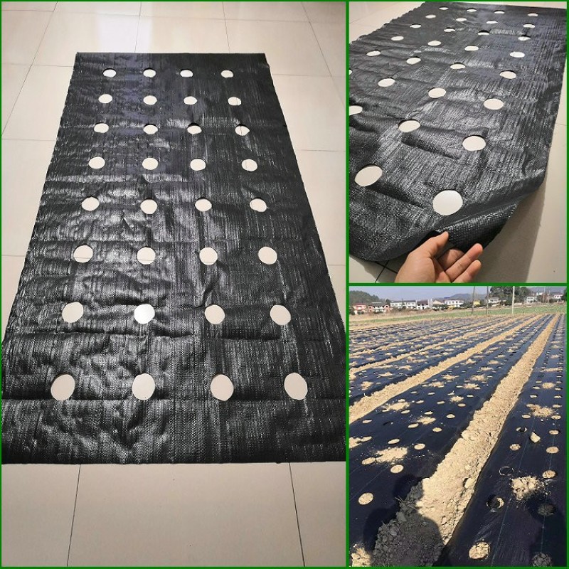 1.5米宽防草布打孔-打孔批发-价格