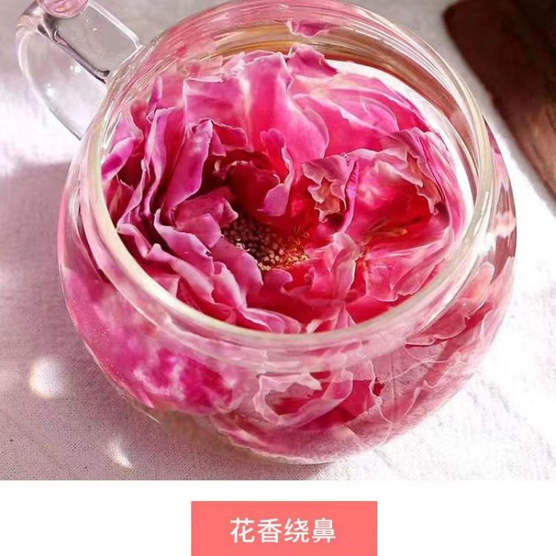 墨红玫瑰严选大朵花香绕鼻新鲜采收品质保障每袋10斤