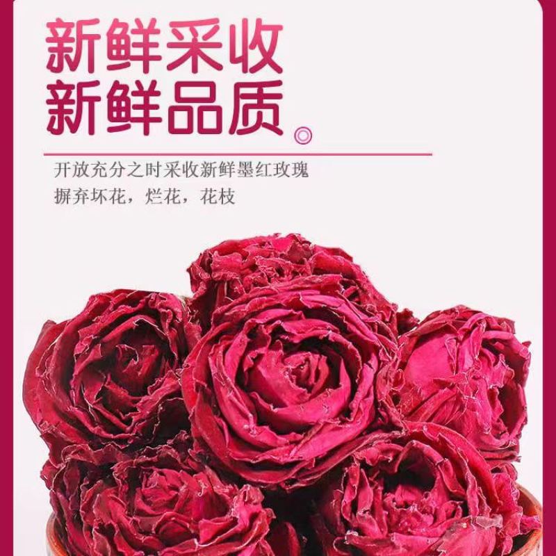 墨红玫瑰严选大朵花香绕鼻新鲜采收品质保障每袋10斤