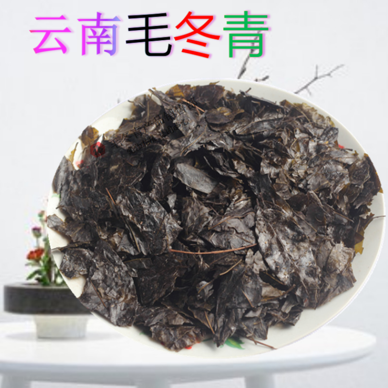 毛冬青叶茶老叶子苦丁茶毛冬青嫩芽青山绿水茶