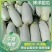 博洋61绿宝羊角蜜,货量充足,质优价廉