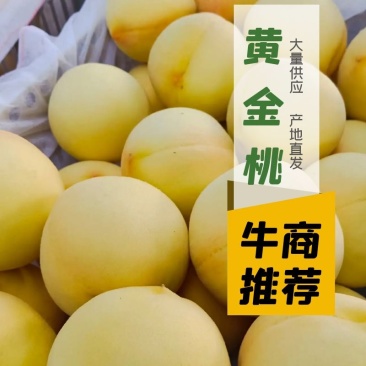 黄金桃大量上市，价格便宜货源充足预购提前电话联系