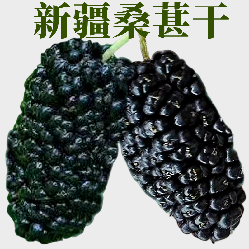 黑桑葚干新疆吐鲁番大颗无沙免洗泡茶料头茬无碎干果包邮批发