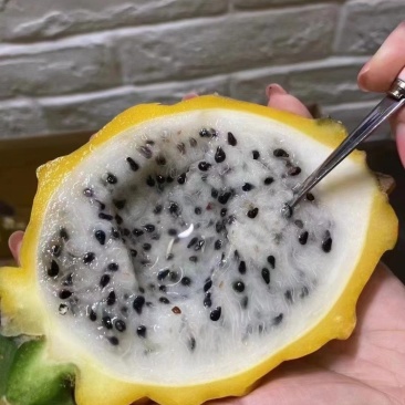 【自营】海南燕窝果高端水果热带水果精品礼盒自产自销麒麟果