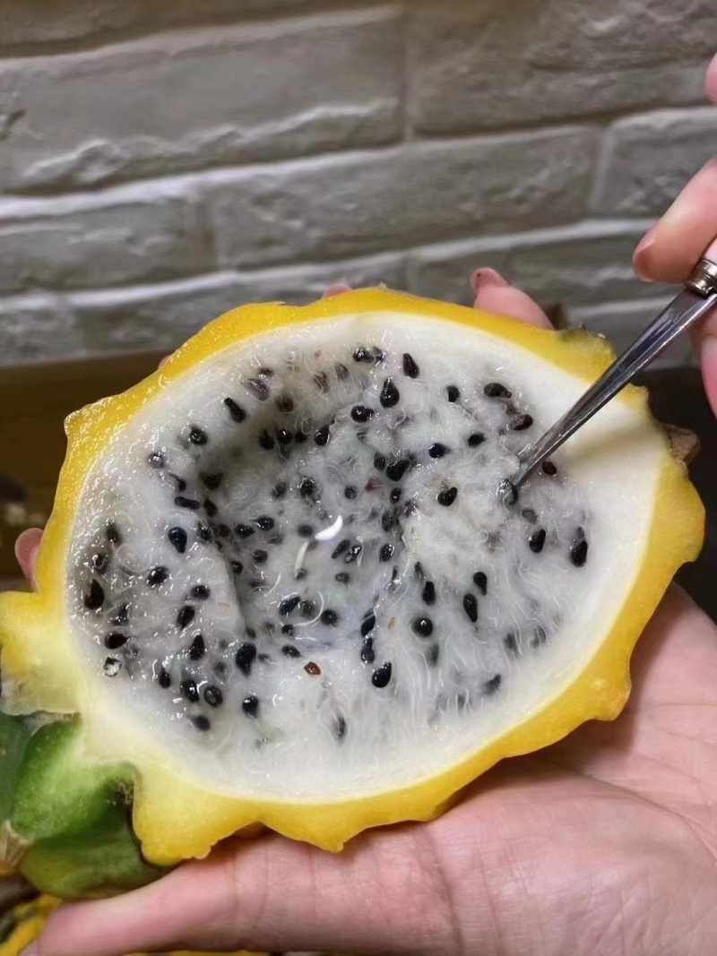 【自营】海南燕窝果高端水果热带水果精品礼盒自产自销麒麟果