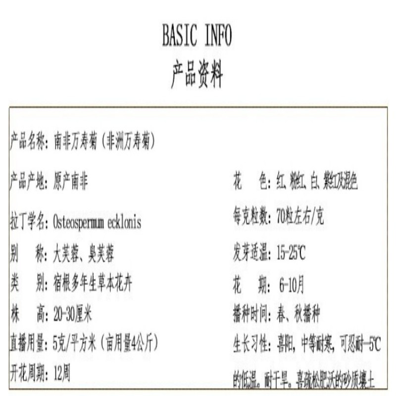 南非万寿菊种子蓝目菊花种籽子耐寒非洲菊花籽四季易种白粉紫