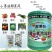 小男孩膨果风膨果增产着色増甜拉长防畸形果蔬通用膨果肥料