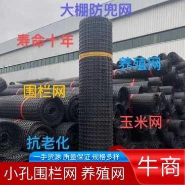 【小孔】黑色塑料养殖网，围栏网，格栅网，玉米圈网防鸟网