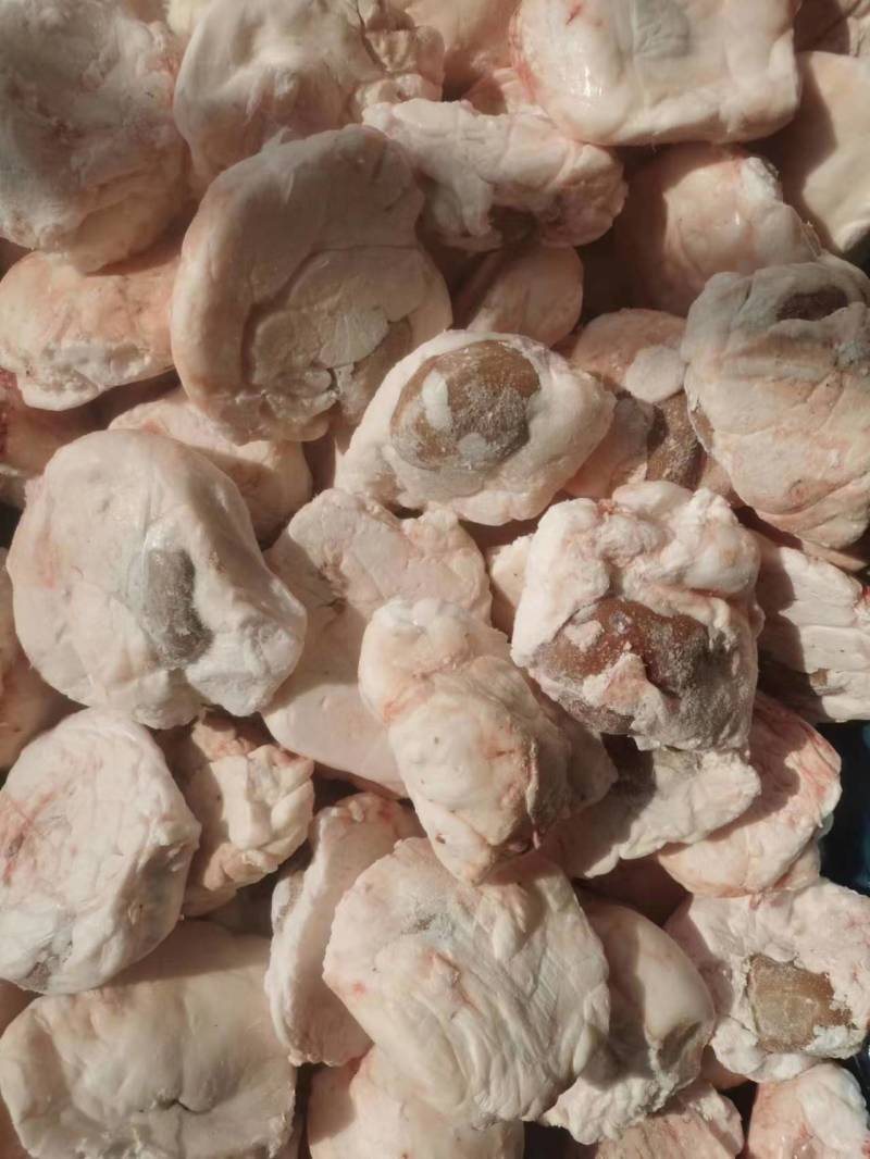 鲜冻羊腰子品质上乘规格齐全价格实惠量大优惠一手货源