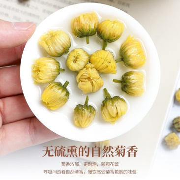 正宗胎菊菊花茶胎菊王菊花茶凉茶清正品去下杭胎菊正宗桐乡胎