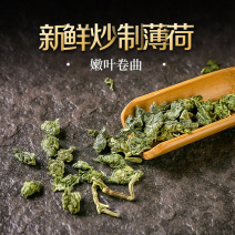 薄荷叶干薄荷叶清热新茶清凉提神夏天薄荷叶五叶茶干薄荷茶泡