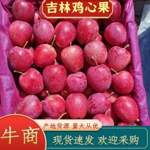 鸡心果锦绣海棠果，产地一手货源质量好，价格，电联