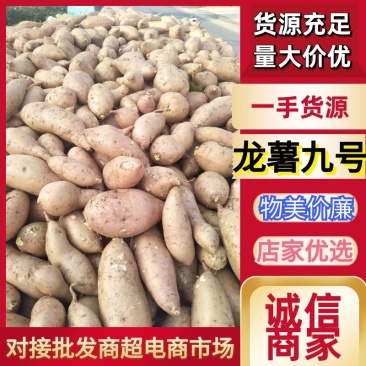 【河北龙薯】红薯龙薯九号货源充足品质保证对接全国