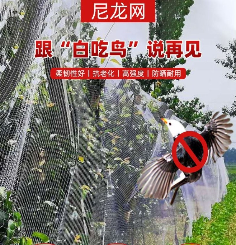 防鸟网果树防鸟用网葡萄樱桃果园菜地尼龙线纱网丝网大棚鱼塘