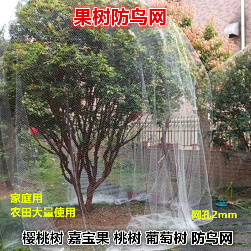 防鸟网果树防鸟用网葡萄樱桃果园菜地尼龙线纱网丝网大棚鱼塘