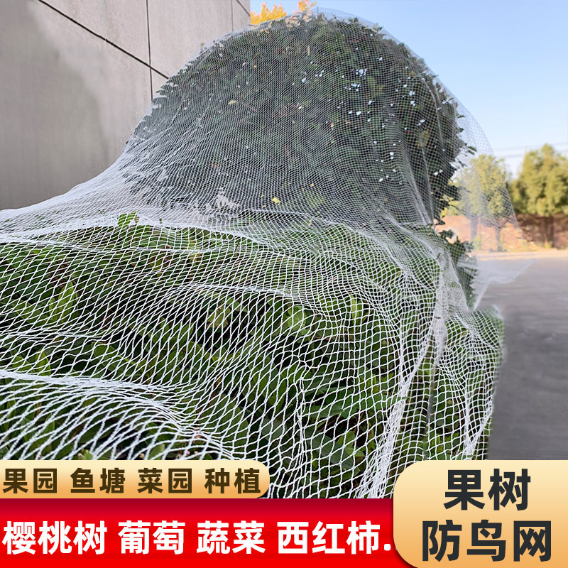 防鸟网果树防鸟用网葡萄樱桃果园菜地尼龙线纱网丝网大棚鱼塘