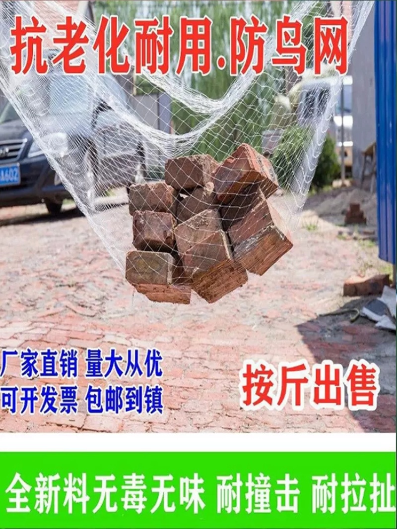 防鸟网果树防鸟用网葡萄樱桃果园菜地尼龙线纱网丝网大棚鱼塘