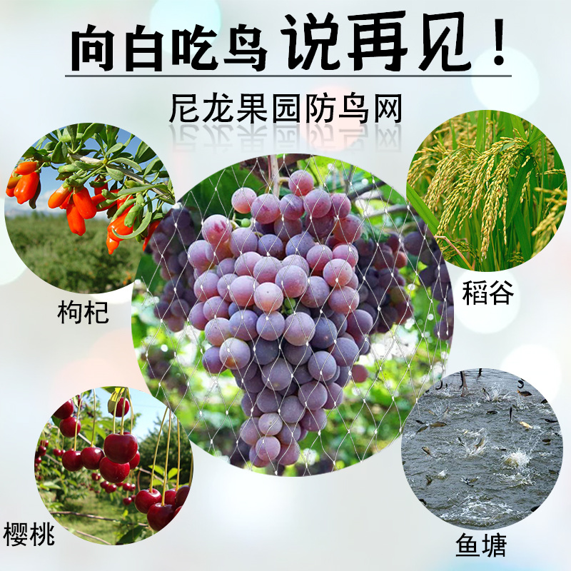 防鸟网果树防鸟用网葡萄樱桃果园菜地尼龙线纱网丝网大棚鱼塘