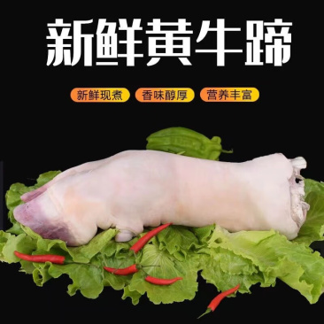 精选连云港黄牛牛蹄，一手货源批发