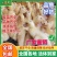 【贵州热卖】大种白翻鸭苗,绿头野鸭苗,货到满意在付款