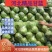 【精品】甘蓝质量保证货真价实诚信经营现货