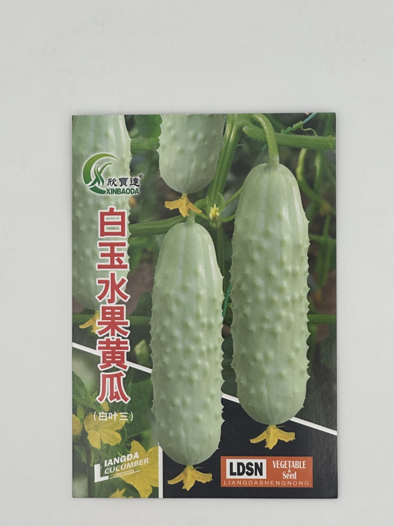 白玉水果黄瓜种子质脆味甜口感清香优质良种