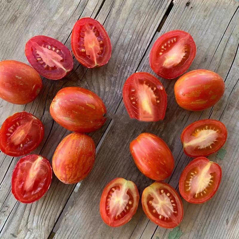 彩纹红洋梨番茄种子个头均匀果实梨型长势强