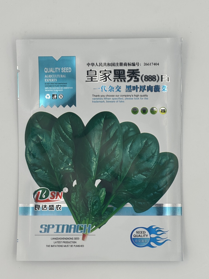 皇家黑秀菠菜种子耐运输有光泽耐抽苔