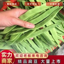 【扁豆】山东绿扁豆大量供应产地直发可视频看货