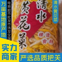 清水【黄花菜】自产自销，颜色好，口感脆，产地直供价格便宜