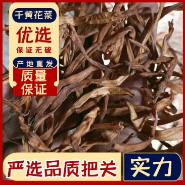 黄花菜特价，跟条好颜色好，干度到位放心产品，质量保证