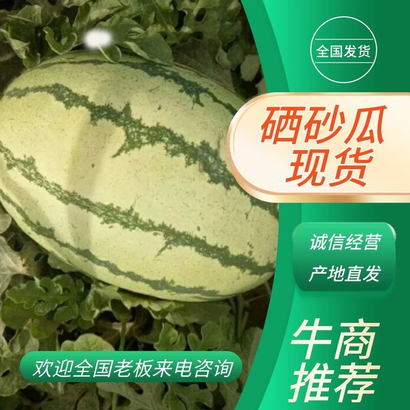 宁夏中卫香山硒砂瓜，石头缝里西瓜，甜如蜜，基地直供