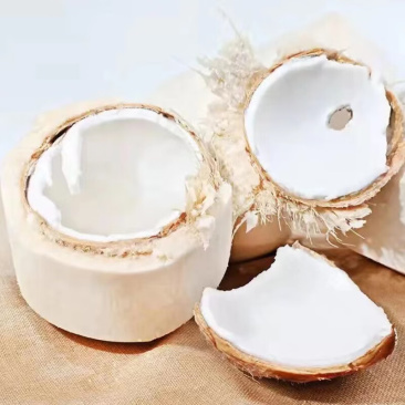 椰青海南新鲜现摘带皮椰子当季水果孕妇青椰子汁椰肉煲汤料