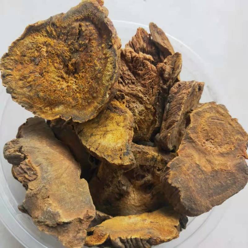 大黄马蹄大黄正品保障中药材批发供应