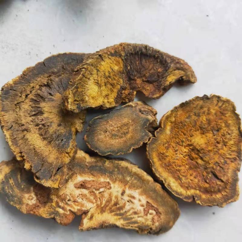 大黄马蹄大黄正品保障中药材批发供应