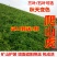 爬山虎爬藤植物四季三叶五叶地锦爬墙面遮阳庭院树苗耐寒花卉