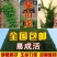 爬山虎爬藤植物四季三叶五叶地锦爬墙面遮阳庭院树苗耐寒花卉