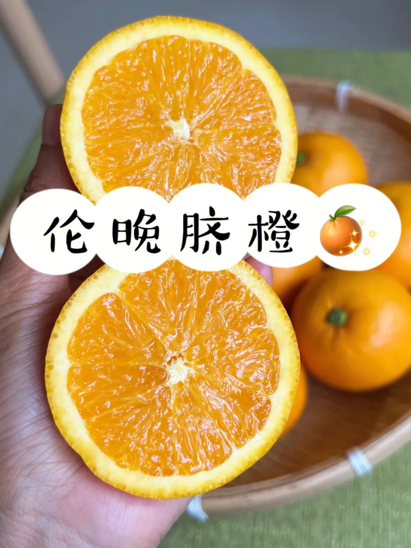 伦晚脐橙湖北脐橙汁多化渣产地直发全国发货可视频