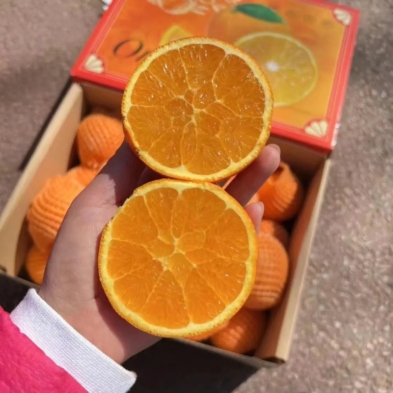 伦晚脐橙湖北脐橙汁多化渣产地直发全国发货可视频