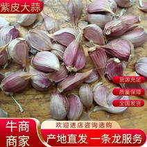 徐州丰县杂交蒜头，大蒜一手货源，品质上乘，致电