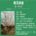日本樱花树苗木庭院南北方种植盆栽绿化风景耐寒苗花卉早晚樱