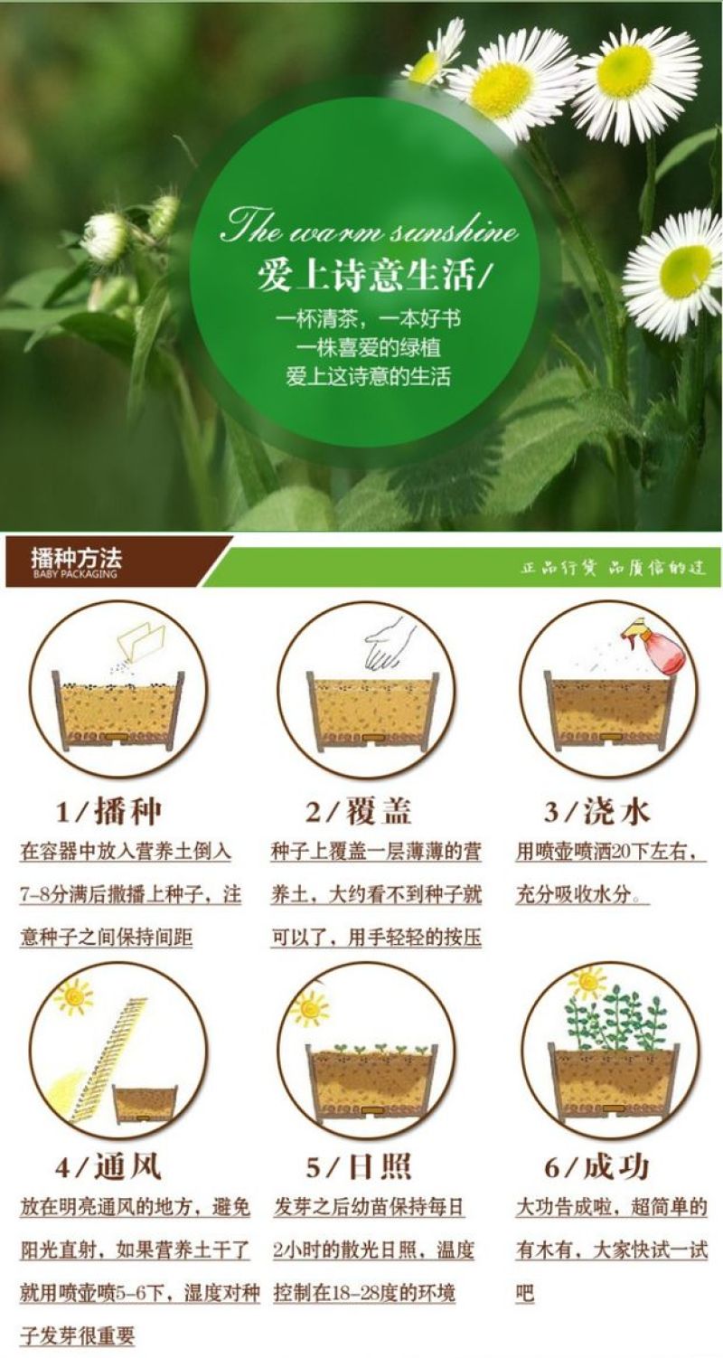 牡丹种子四季播秋季夏季盆栽药用观赏牡丹花种子油用牡丹种孑