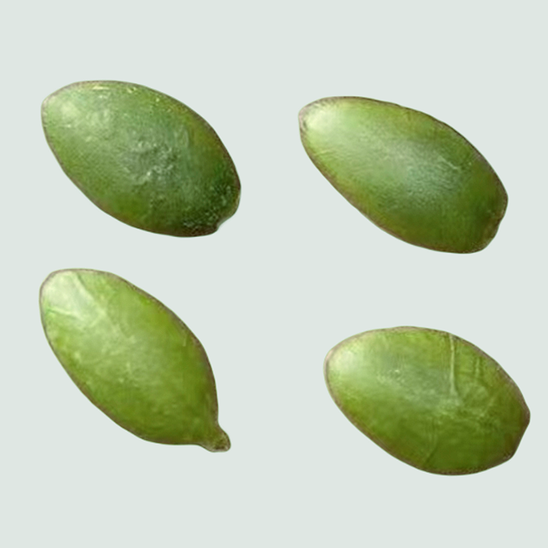南瓜子仁新疆生熟去皮炒货大颗粒原味坚果新货全国包邮发货