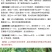 手捻葫芦种子盆栽迷你小葫芦手玩种籽观赏爬藤阳台庭院植物
